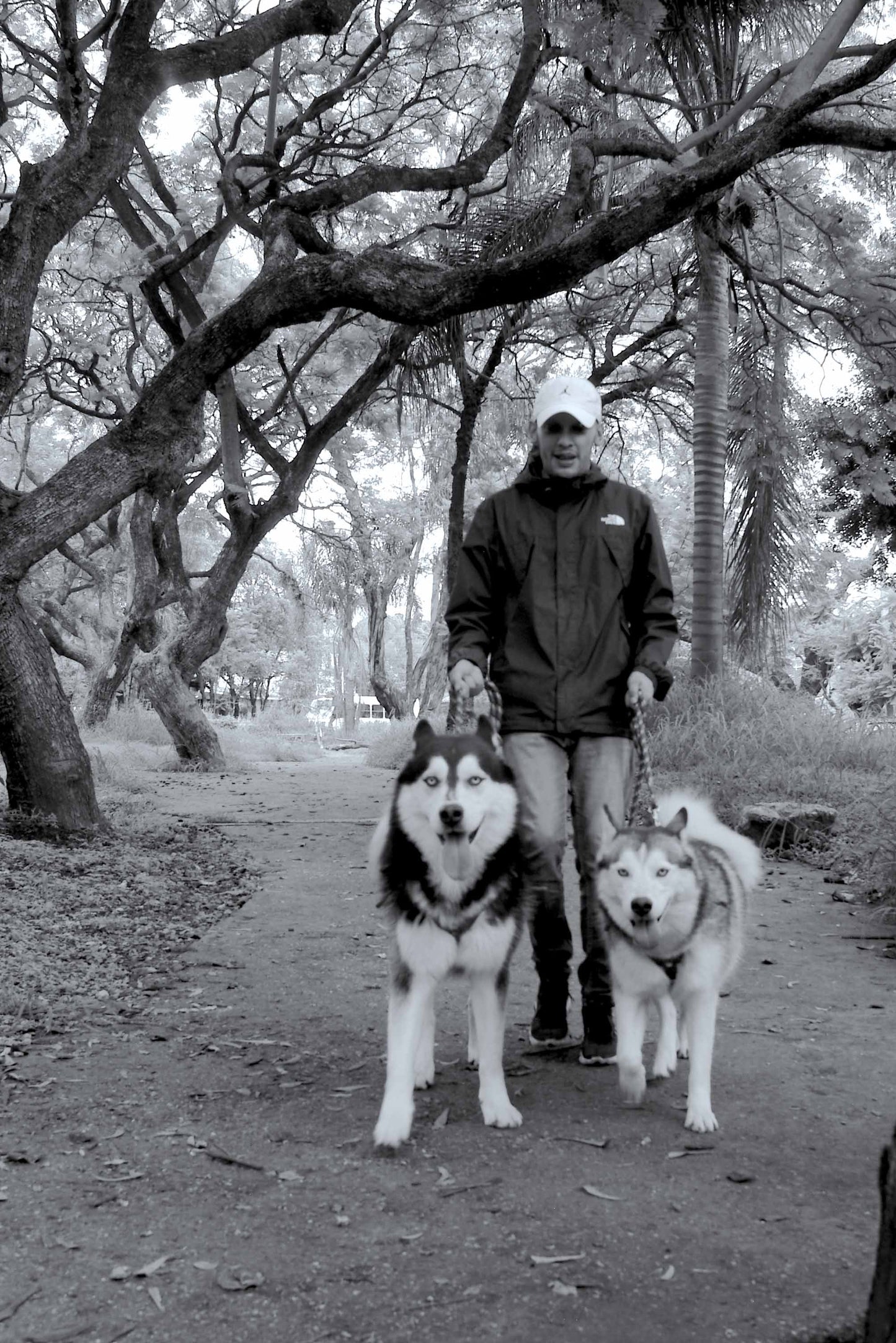 Pack 2. Sesión en locación con retrato