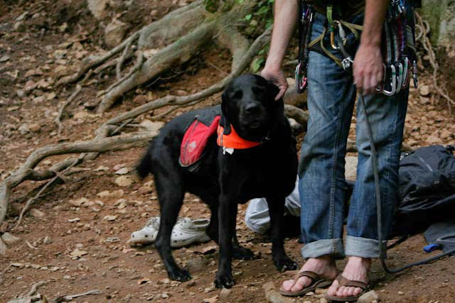 Pack 2. Sesión en locación con retrato