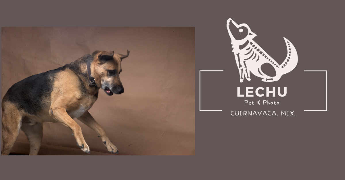 Sesiones a domicilio