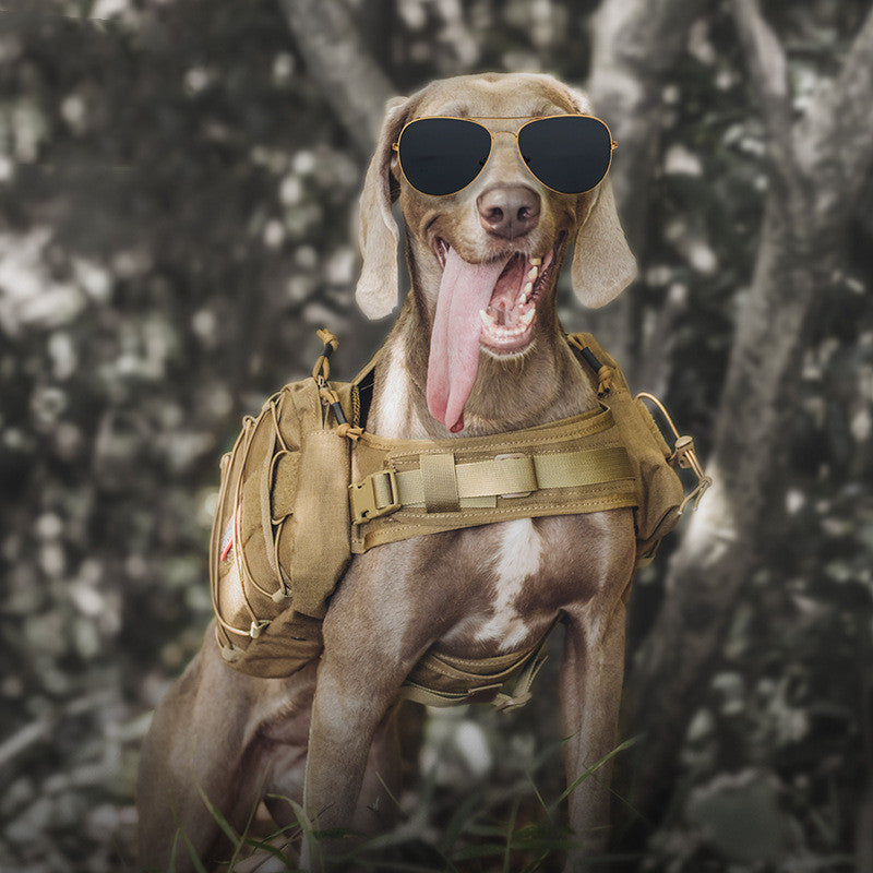"Mochila de Aventura para Perros - Explora con tu Mascota"