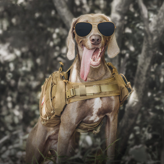 "Mochila de Aventura para Perros - Explora con tu Mascota"