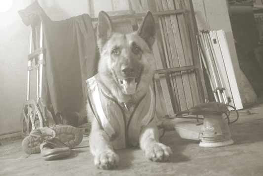 Tarjetas de Regalo sesión fotográfica