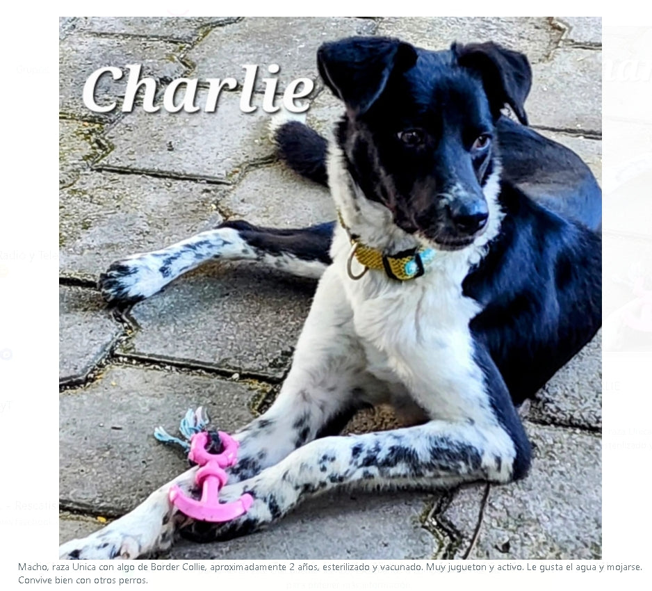 Santuario de Patitas A.C.