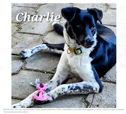 Santuario de Patitas A.C.