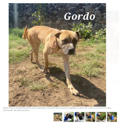 Santuario de Patitas A.C.