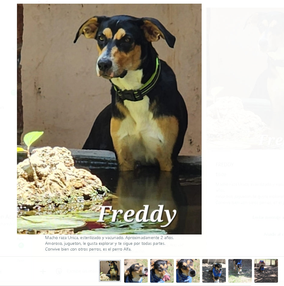 Santuario de Patitas A.C.