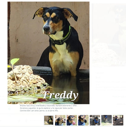 Santuario de Patitas A.C.