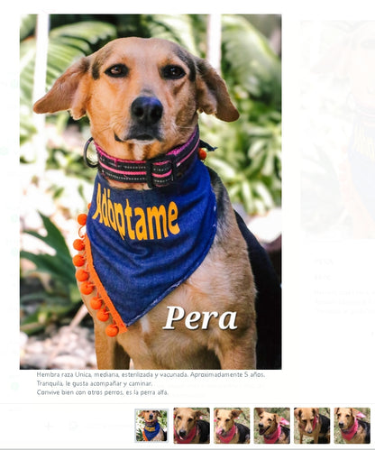 Santuario de Patitas A.C.