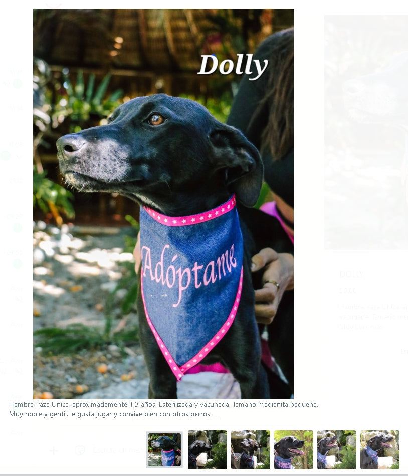 Santuario de Patitas A.C.