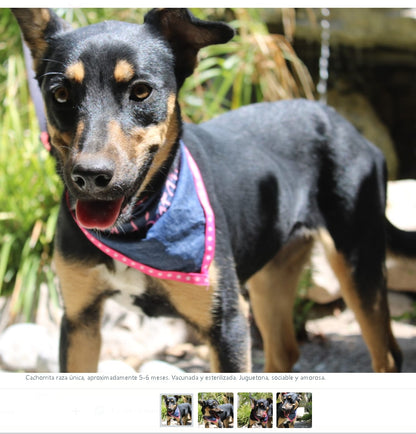 Santuario de Patitas A.C.