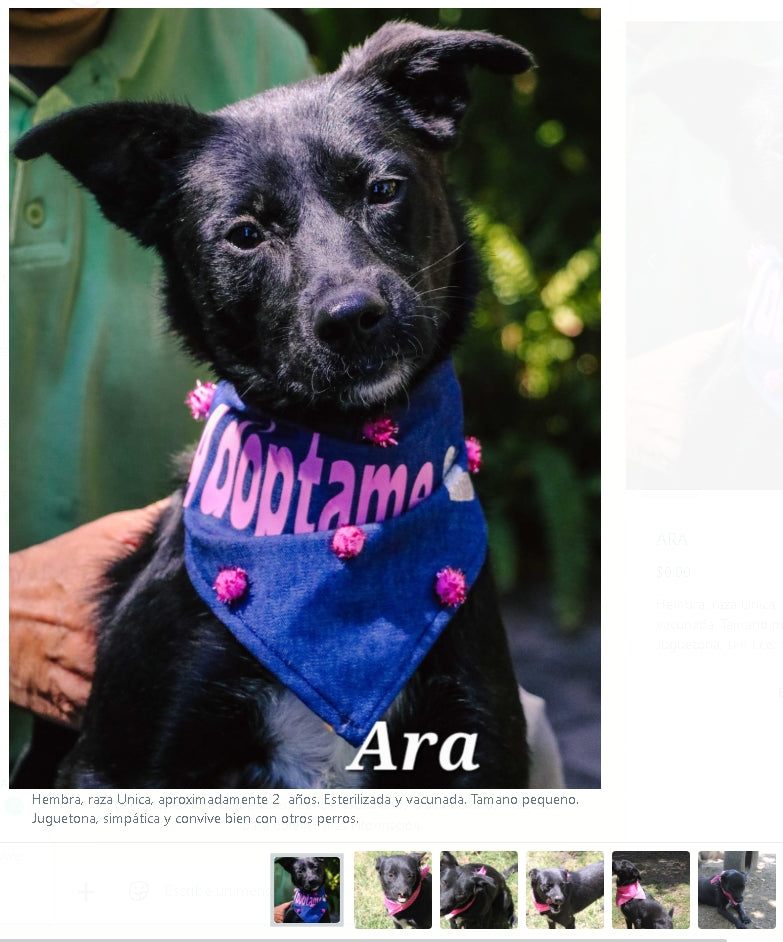 Santuario de Patitas A.C.