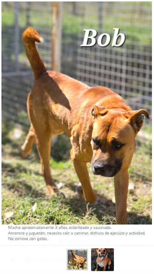 Santuario de Patitas A.C.