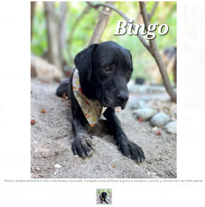 Santuario de Patitas A.C.