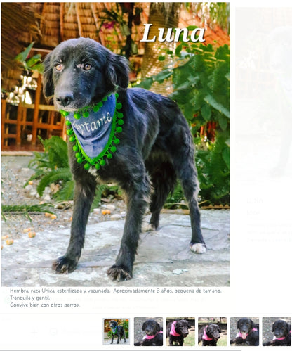 Santuario de Patitas A.C.