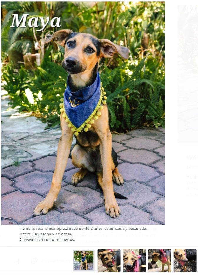 Santuario de Patitas A.C.