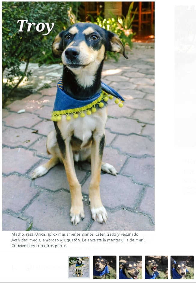 Santuario de Patitas A.C.