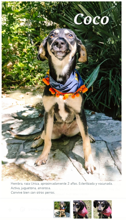 Santuario de Patitas A.C.