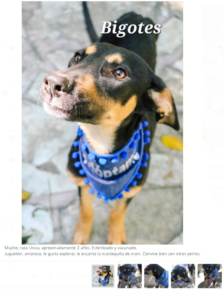 Santuario de Patitas A.C.