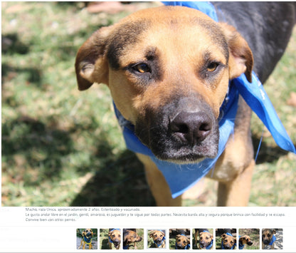 Santuario de Patitas A.C.