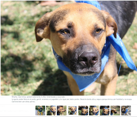 Santuario de Patitas A.C.