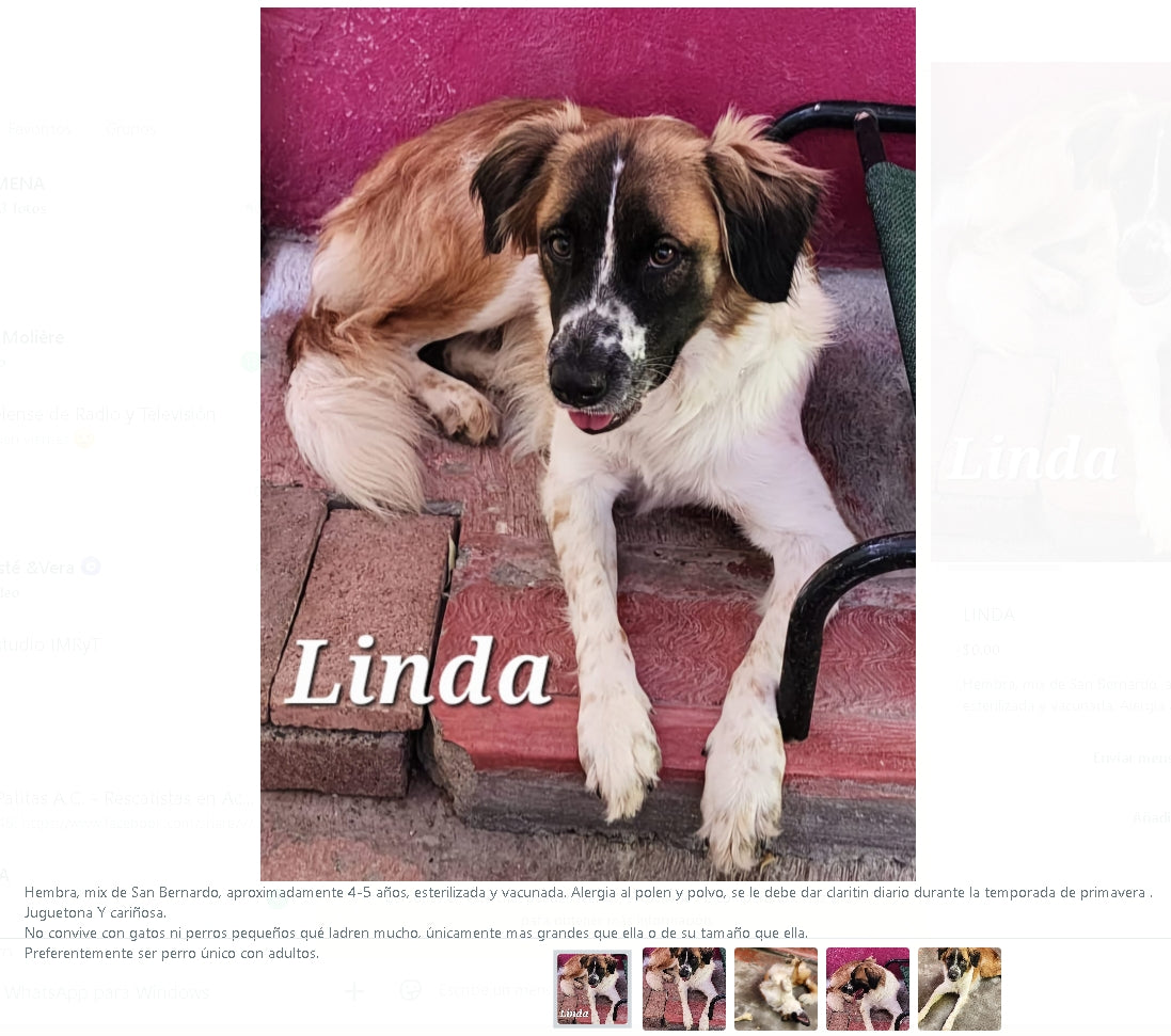 Santuario de Patitas A.C.