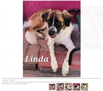 Santuario de Patitas A.C.