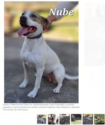 Santuario de Patitas A.C.