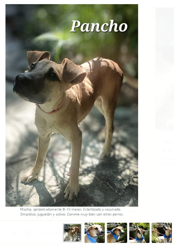 Santuario de Patitas A.C.