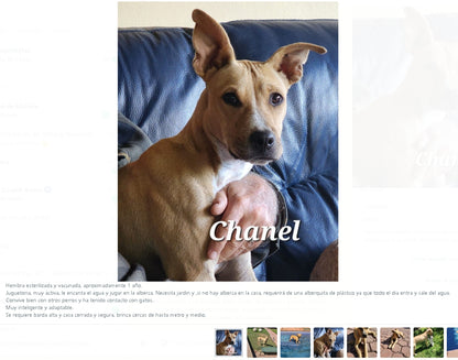 Santuario de Patitas A.C.