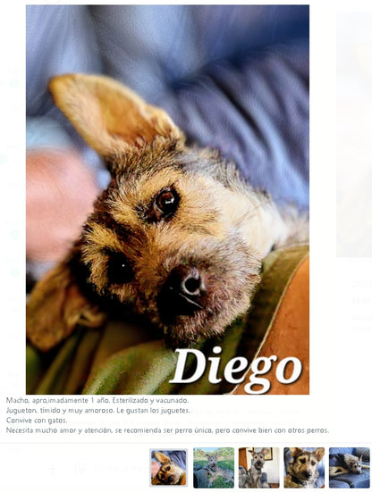 Santuario de Patitas A.C.