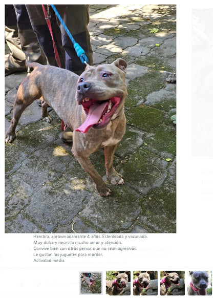 Santuario de Patitas A.C.