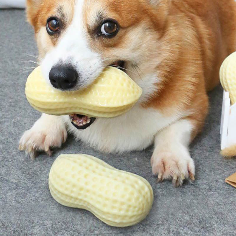 Funny Pet Dog Squeaky Peanut Chew Toy-2