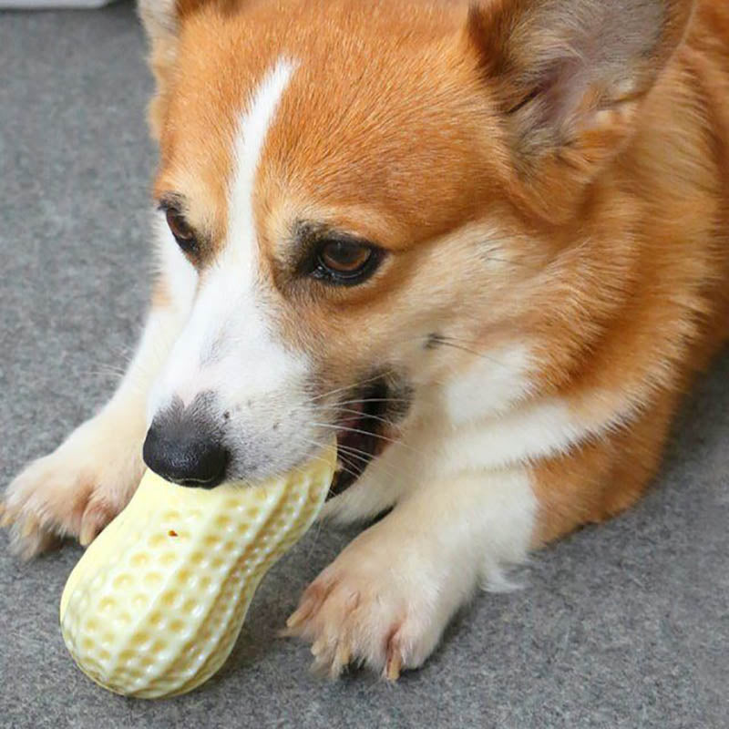 Funny Pet Dog Squeaky Peanut Chew Toy-3