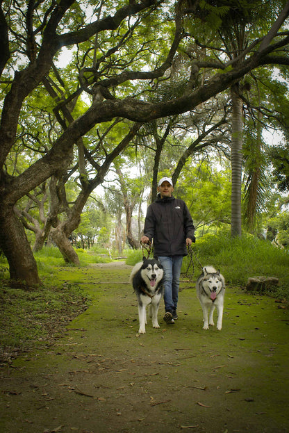 Pack 2. On-location session with portrait