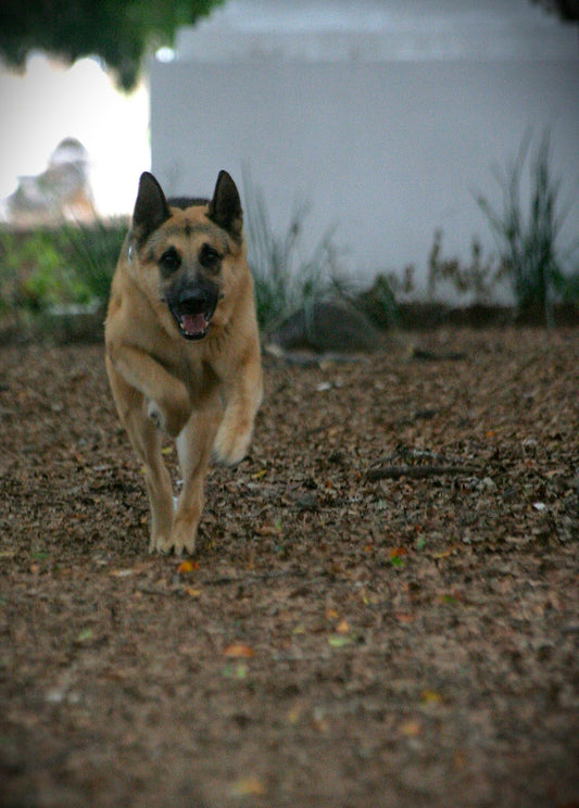 Pack 2. Sesión en locación con retrato