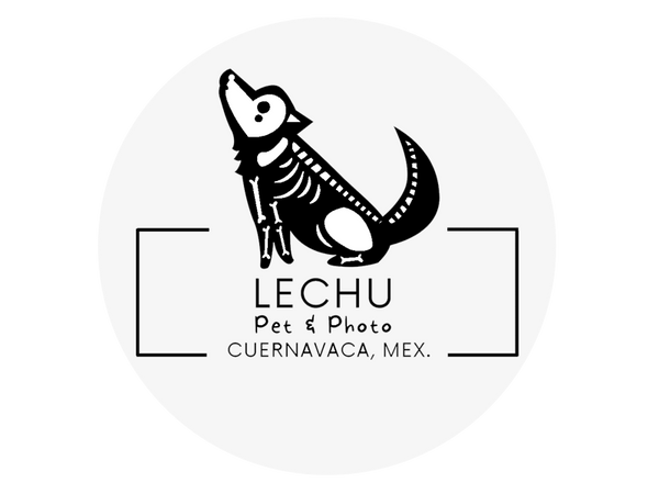 Estudio Lechu 